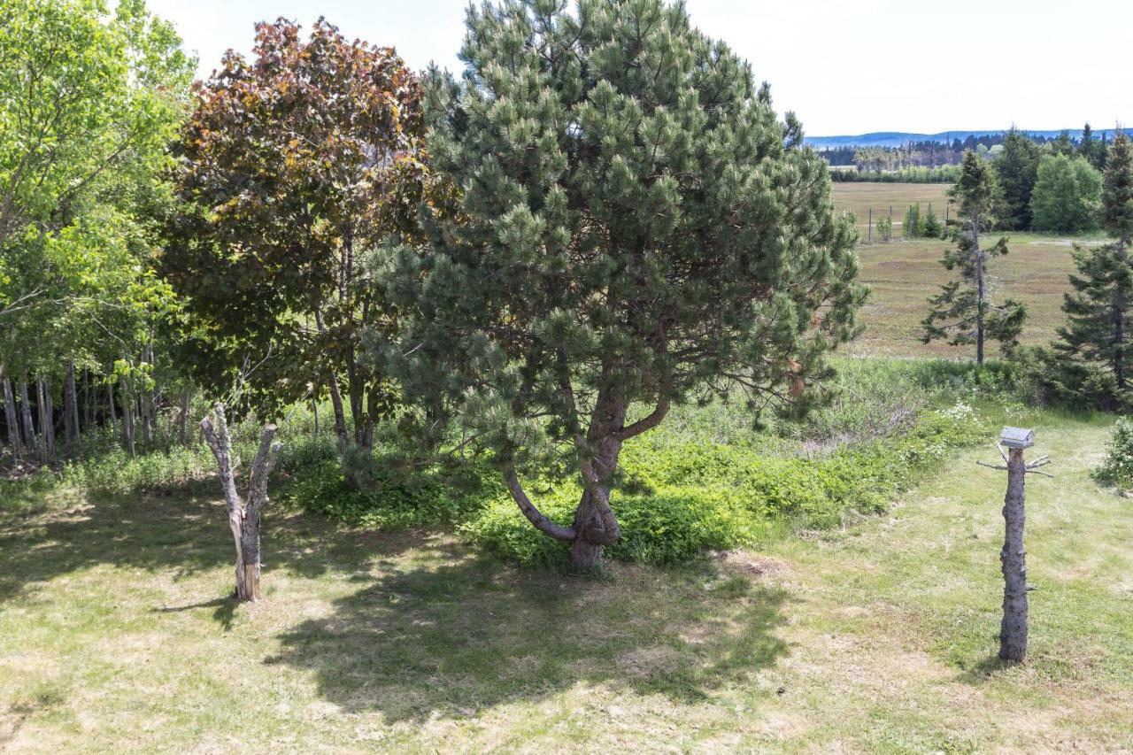 Fox Point Inn Parrsboro Zewnętrze zdjęcie